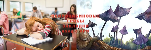 apvp Белокуриха