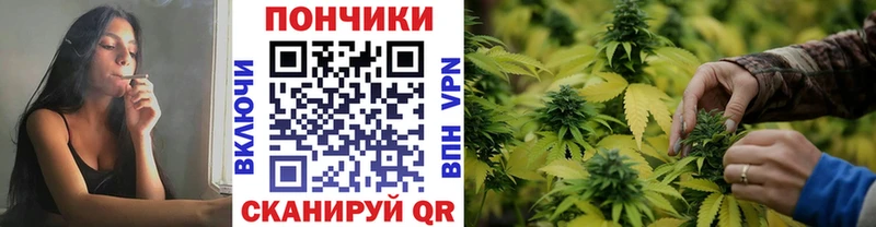 Бошки Шишки индика  купить   Вяземский 
